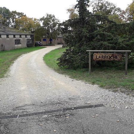 Gite de Larroche Labastide-Marnhac Exterior foto