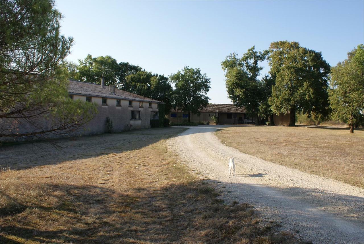 Gite de Larroche Labastide-Marnhac Exterior foto